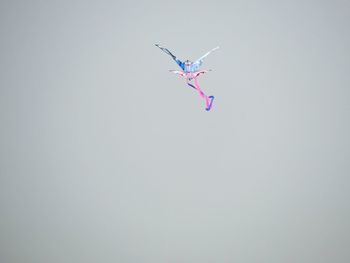 Insect flying against clear sky