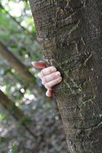 Cropped hand on tree trunk at forest