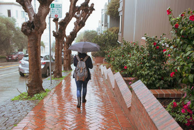 Rear view of woman walking on wet footpath during rainy season