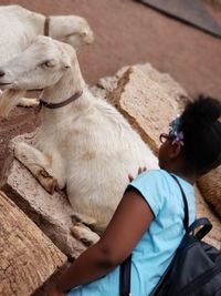 Rear view of girl stroking goat