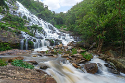 Scenic view of waterfall in forest