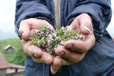 Midsection of person holding flowers outdoors