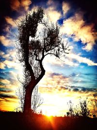 Low angle view of silhouette tree against sky during sunset