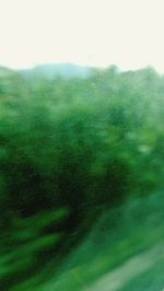 Defocused image of trees against sky