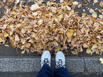 Low section of person standing on dry leaves