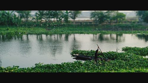 Scenic view of lake against trees