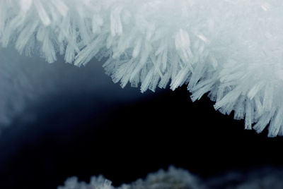 Close-up of icicles on mountain during winter