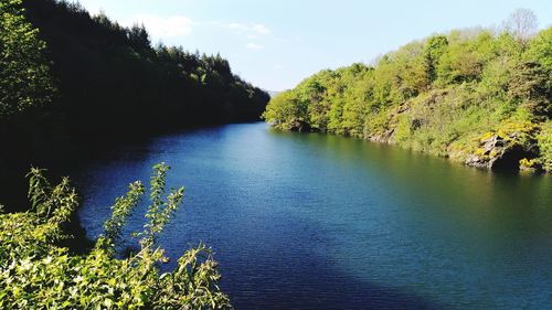 Scenic view of lake in forest against sky