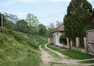 Road amidst trees and houses against sky