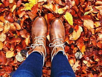 Low section of woman standing on autumn leaves