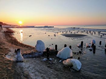 View of birds on beach during sunset