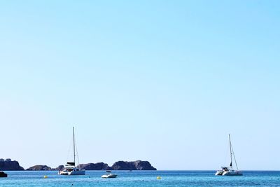 Sailboats in sea against clear sky