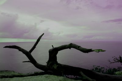 Silhouette of person against cloudy sky