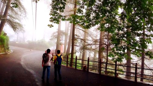 Rear view of friends walking on footpath amidst trees