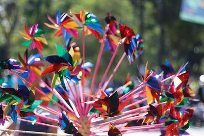 Close-up of colorful pinwheel toys for sale at market