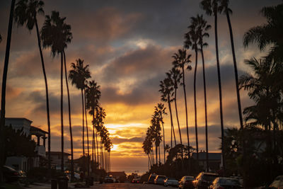 Silhouette of palm trees against sky during sunset