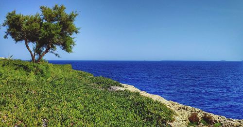 Scenic view of sea against clear blue sky