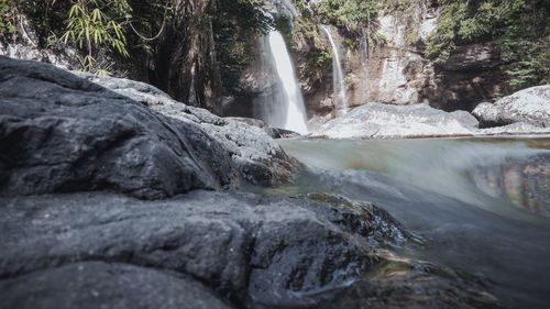 Scenic view of waterfall in forest