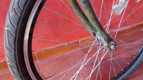 Close-up of caterpillar on bicycle