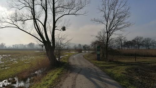 Road by bare trees on field against sky