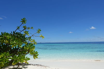 Scenic view of sea against blue sky