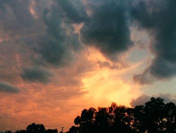 Silhouette of trees against cloudy sky