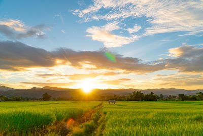 Scenic view of field against sky during sunset