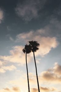Low angle view of silhouette palm trees against sky