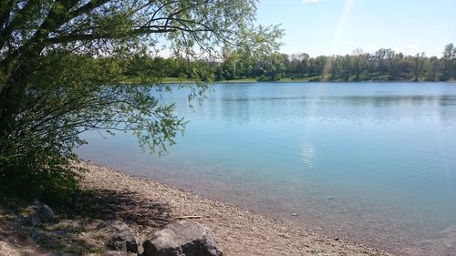 Reflection of trees in lake