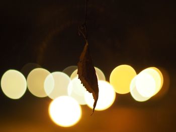 Close-up of illuminated hanging lights