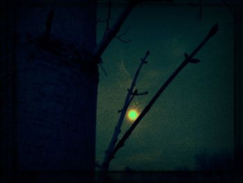 Low angle view of tree against sky