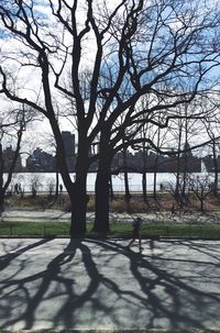 Silhouette of bare tree against sky