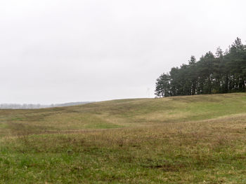 Trees on field against sky