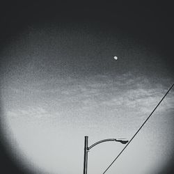 Low angle view of tree against sky