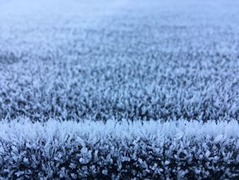 Close-up of frost on land