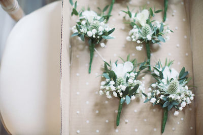 High angle view of white flowering plant on table