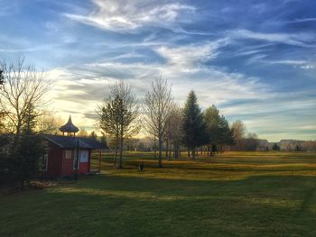 Scenic view of grassy field against sky