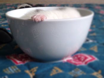 Close-up of coffee cup on table