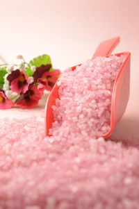 Close-up of pink rose on white background