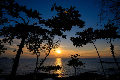 Silhouette tree by sea against sky during sunset