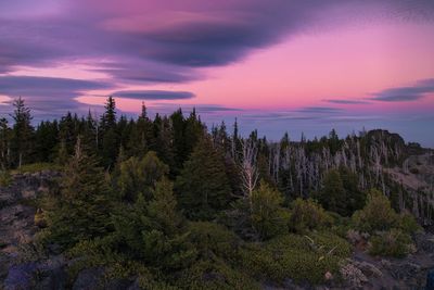 Scenic view of landscape against cloudy sky