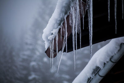 Low angle view of icicles on roof