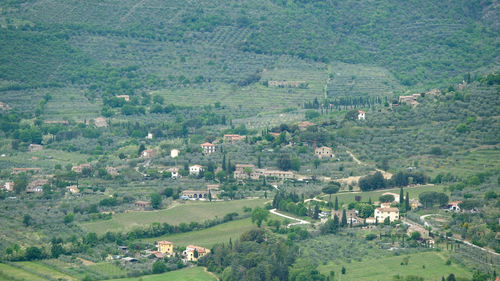 High angle view of agricultural landscape