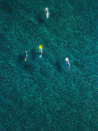Aerial view of surfers swimming in turquoise waters of arabian sea