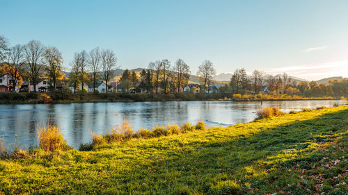 autumn