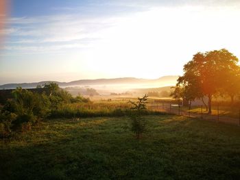 Scenic view of field against sky at sunset