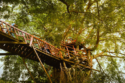 Low angle view of bridge against trees in forest