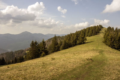 Scenic view of landscape against sky