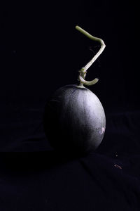 still life photography