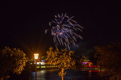 Firework display over river against sky at night